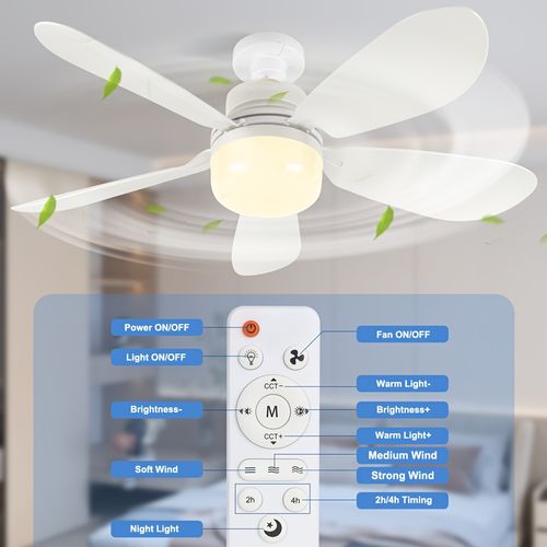ceiling fan lamp