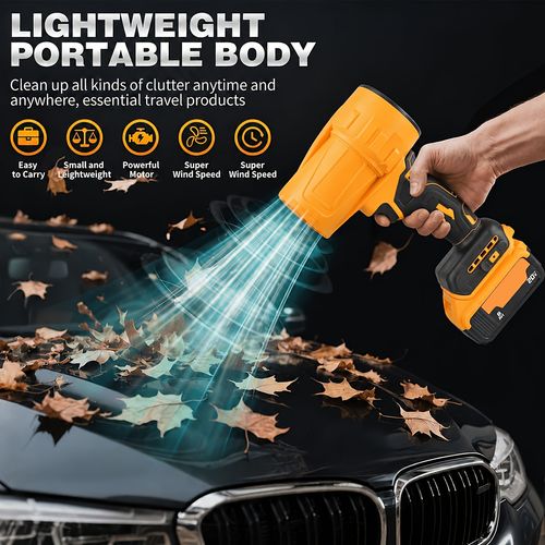Auto Detailing Blower