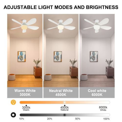 ceiling fan lamp