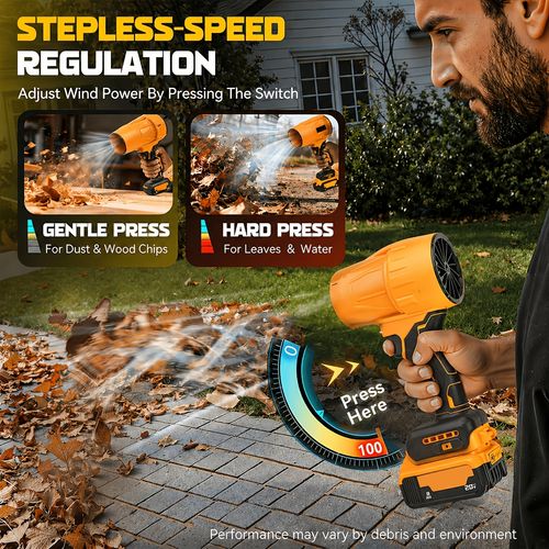 Auto Detailing Blower