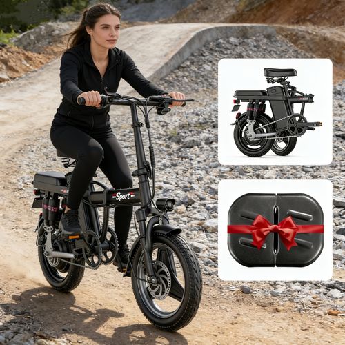 Folding electric bike