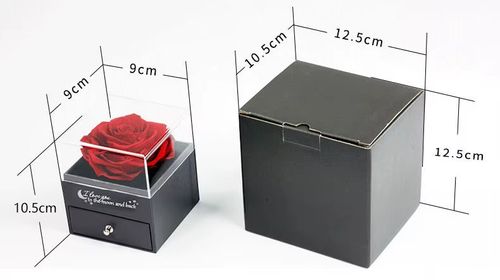 Rosa de presente em caixa de acrílico Entrega em casa, pagamento na entrega