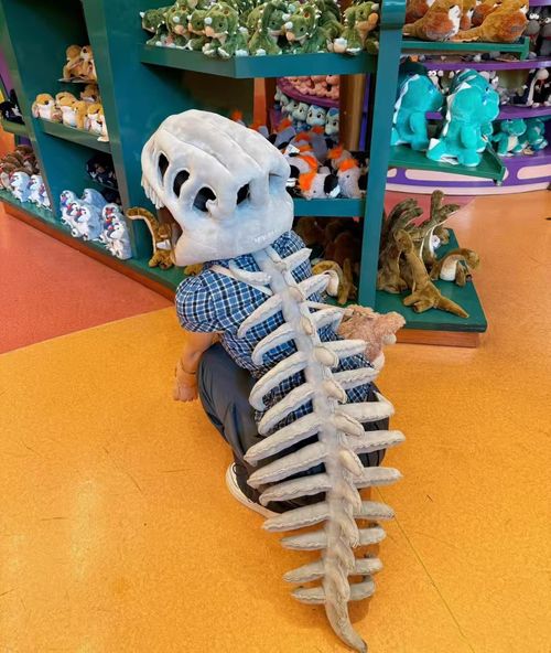 Internet-famous Dinosaur Skeleton, Funny Favorite Toy for Kids