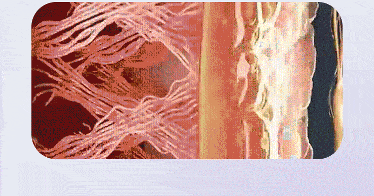 🔥Hot Sale 50% OFF⏰Multifunctional Full-Body Fascia Ring