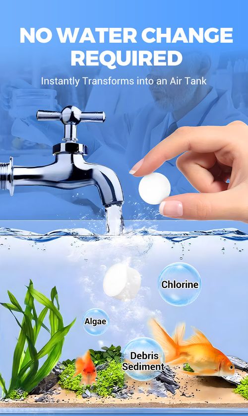 💥BIG SALE !!♻️💧Powerful Aquarium Water Purification Tablet
