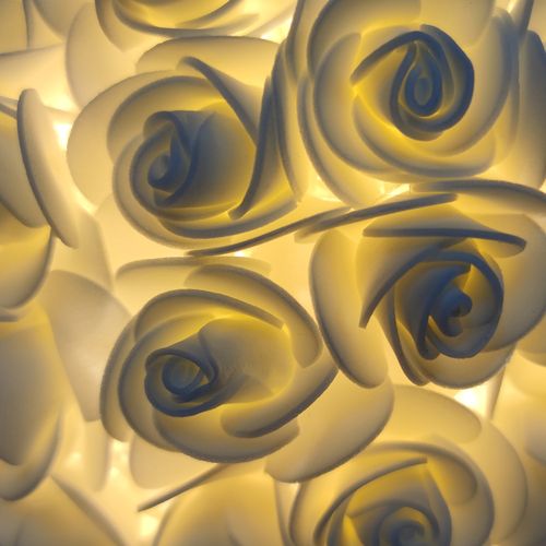 Rose table lamp , Rose night light,Preserved flower Wedding gift Bestie gift Bedroom bedside nightlight