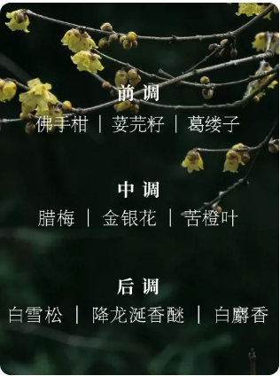 春風十里辭仙茉莉花香水女士持久留香清新淡雅送女友禮物小眾正品