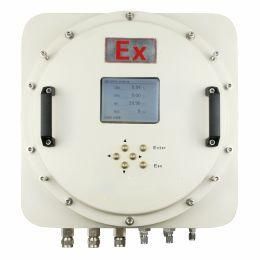 Online Biogas Analysis System