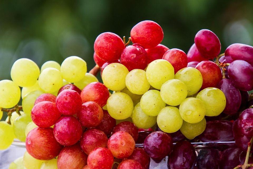 Discover the Essence of Nature: Green Grape Cold Process Soap, A Luxurious Cleansing Journey for Face and Body