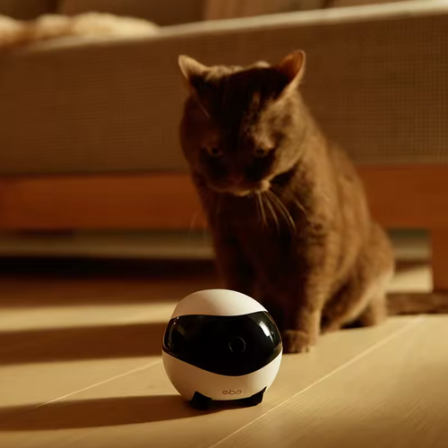 The EBO SE smart home robot features a 1080P camera for pet companionship, security monitoring, and remote control via a mobile app.