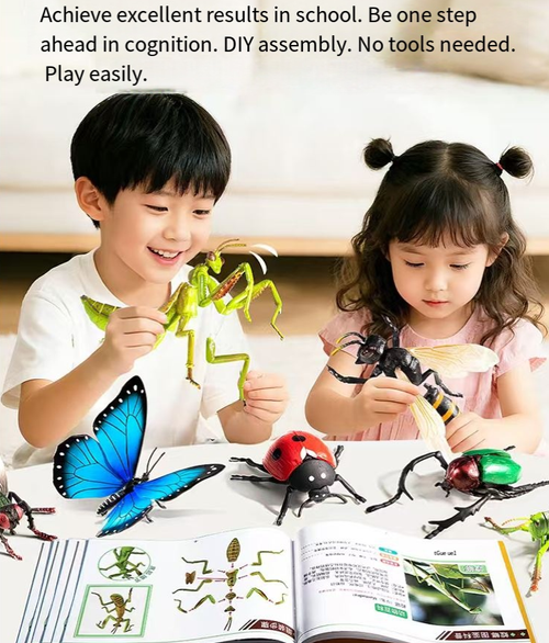 1:1 scale structure combined with hand-drawn details, accurately reproducing the real texture of insects. The movable parts can assume various lively postures such as hunting and flying. The accompanying educational manual allows for learning while playing. The portable storage box helps cultivate the habit of organizing and tidying up. It is an excellent educational and entertaining natural enlightenment item.