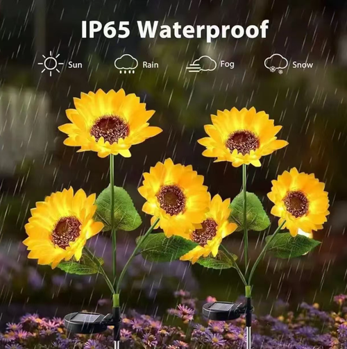 Order today and you will receive 3 solar-powered sunflower outdoor courtyard ground lamps. No wiring is required and they automatically turn on and off. With 6 to 8 hours of sunlight, their lighting duration can reach 10 to 14 hours. The IP65 waterproof design can withstand rain and wind. Multiple units can be combined to create an atmosphere-filled courtyard space. It is an ideal choice for outdoor lighting and decoration, with a therapeutic effect.