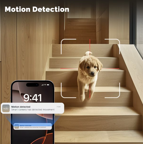 Indoor dual-camera WiFi intelligent surveillance camera, with dual lenses supporting three-screen display, pan-tilt rotation function, and full-color night vision. It features person detection alert, two-way voice communication, remote viewing of the screen via mobile phone, and can be placed or wall-mounted for installation. It is an intelligent surveillance device suitable for indoor home care and store security.