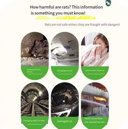 Order today and you will receive 20 bags of the miraculous plant-based rodent and insect repellent pills. It uses a 10-fold concentrated plant formula, which is safe and non-toxic, friendly to both the elderly and pets. It repels both rodents and insects. The scent spreads quickly, has long-lasting effect, can be used immediately upon placement, and easily protects your home from mice. Let the mice move away quietly and keep your family free from the troubles of rodent infestations.