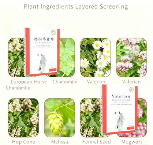 The German Mago Patch, highly recommended by the Chinese Academy of Sciences, can relieve discomfort in joints, the lower back, and the shoulders. If you place an order today, you will receive a total of 5 boxes, with each box containing 5 patches. Take one patch per day for a 5-box course of treatment.