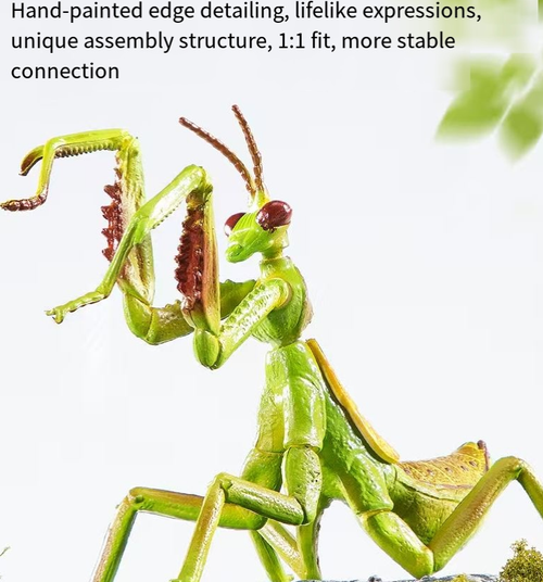 1:1 scale structure combined with hand-drawn details, accurately reproducing the real texture of insects. The movable parts can assume various lively postures such as hunting and flying. The accompanying educational manual allows for learning while playing. The portable storage box helps cultivate the habit of organizing and tidying up. It is an excellent educational and entertaining natural enlightenment item.