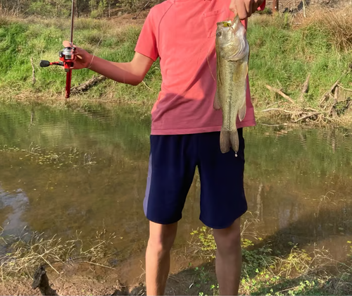 Portable mini fishing rod, with a contraction length of only 24cm, is as portable as a pen. When unfolded, it has excellent rigidity. The hidden structure and magnetic ring design are professionally durable. Available in multiple colors. It enables you to start fishing at any time. It is a portable fishing fun gadget for urban professionals and outdoor enthusiasts, allowing you to bring the joy of fishing into your daily life.