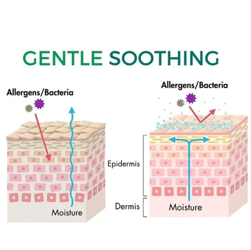 Private soothing HPV genital warts shower gel, containing medicinal plants such as Motherwort and Aloe Vera. It has a slightly acidic formula to protect the bacterial flora. The thick foam provides a refreshing feeling after washing without causing tightness. Suitable for sensitive skin, during menstruation and pregnancy. Order today and get 2 bottles. It can gently protect you in daily life and during special periods, helping you get rid of embarrassment and feel more at ease!