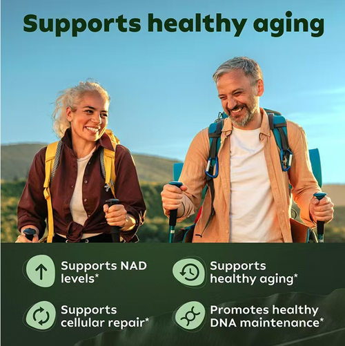 If you place an order today, you will receive 4 bottles of Nicotinamide Promotes Cell Regeneration Anti-Wrinkle Firming Capsules. This NAD+ advanced nutritional supplement launched by Katya Cole Official Store contains NAD⁺ resveratrol, which is a 500-milligram liposomal formula. Each bottle contains 60 capsules. It helps to increase NAD⁺ levels and supports healthy aging.