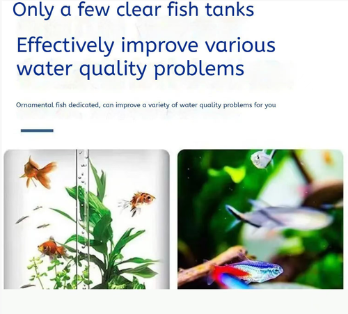 If you place an order today, you will receive 10 bottles of polymer-based water purifying tablets that can quickly adsorb impurities, remove chlorine, and eliminate algae. The water instantly becomes clear and transparent. They can also eliminate fishy odors and other unpleasant smells, while protecting the fish. The operation is simple. The 35-piece packaging is highly cost-effective and allows you to easily have a clear fish tank.