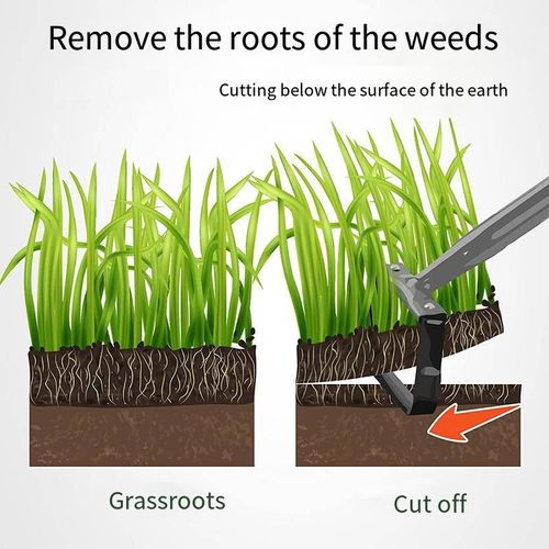 This push-pull weeding tool doesn't require bending over when operating. Just align the clamp with the weeds and push and pull them, pulling out stubborn weeds completely. The sharp blade cuts through the grass stems. It can be assembled with an extended handle and a non-slip handle, making it lightweight and easy to use. It's suitable for both elderly and women users. Say goodbye to the strain on your back when weeding, and enjoy effortless gardening.