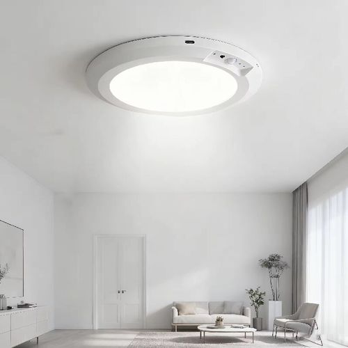 Intelligent Wireless Human Detection Ceiling Lamp: Say goodbye to wiring hassles. USB charging, portable installation, dual sensors sensitively detect human movement. Lights up instantly in 0 seconds, with 6-hour full charge providing 60 days of illumination. Sensory lighting with high color rendering. Mosquito repellent property added. Compatible with various living spaces.