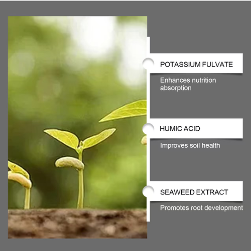 MOONSPRY Soil Activator, a blend of plant extracts and probiotics. It helps loosen the soil, promotes healthy root growth and lush foliage, without causing root burn. Even beginners can use it. Order today and get 2 bottles, enough to fill your balcony with plants. After watering, the soil becomes breathable and retains moisture, resulting in bright leaves and flourishing flowers. Your balcony will instantly transform into a garden!