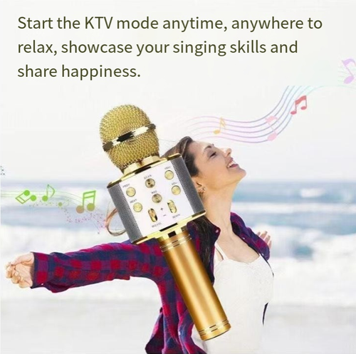 Portable Handheld Mic Speaker Kids Karaoke Microphone Wireless Bluetooth Karaoke Microphone for Singing