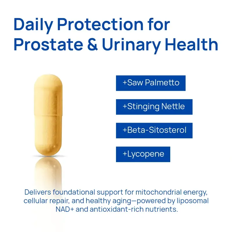 Selerb NAD+ Supplement for Men – With Liposomal-NAD+,CoQ10, L-Carnitine, L-Arginine, Maca & Ashwagandha – Energy, Circulation & Prostate Support – 60 Capsules Healthcare Fitness Edible Dietary Natural Vitamin