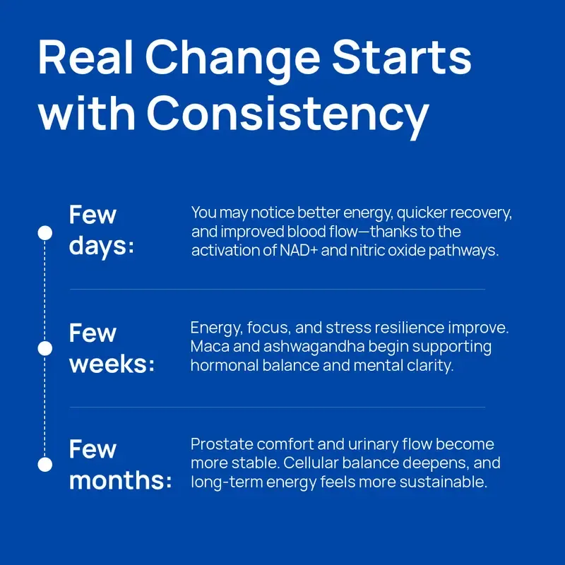 Selerb NAD+ Supplement for Men – With Liposomal-NAD+,CoQ10, L-Carnitine, L-Arginine, Maca & Ashwagandha – Energy, Circulation & Prostate Support – 60 Capsules Healthcare Fitness Edible Dietary Natural Vitamin