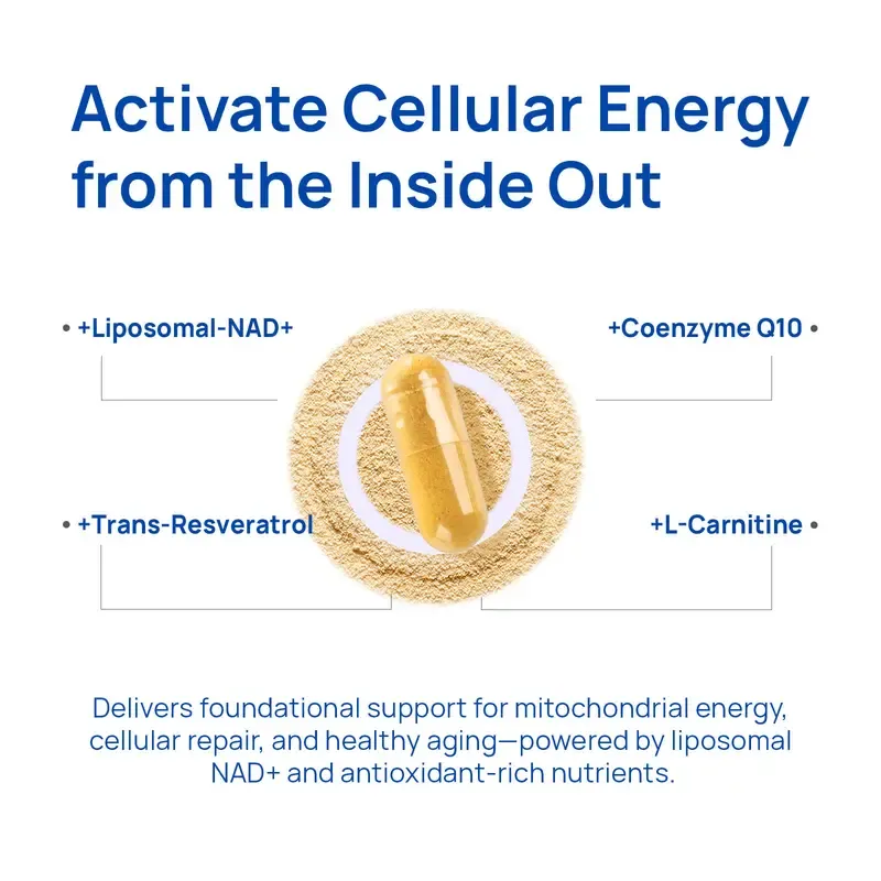 Selerb NAD+ Supplement for Men – With Liposomal-NAD+,CoQ10, L-Carnitine, L-Arginine, Maca & Ashwagandha – Energy, Circulation & Prostate Support – 60 Capsules Healthcare Fitness Edible Dietary Natural Vitamin