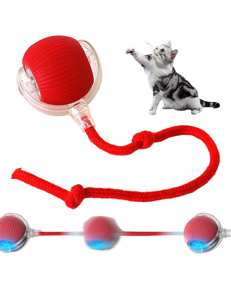 SMART AUTOMATIC ROLLING PET BALL