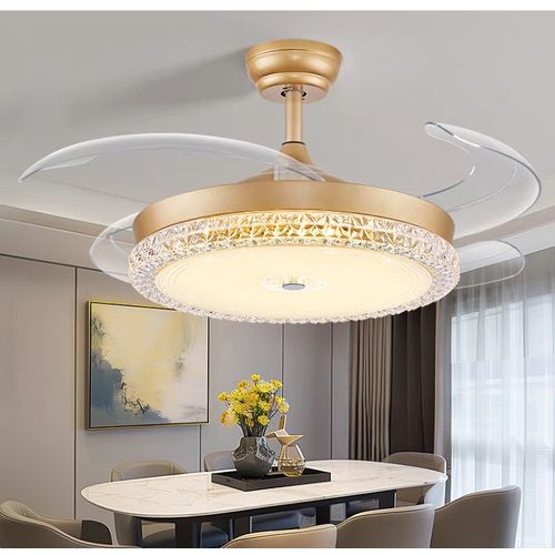 Cash on delivery - Door-to-door delivery - On-site installation   Modieuse Intrekbare Waaierlig