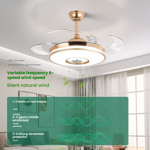 Cash on delivery + door-to-door delivery + on-site installation.       Luxury gold-framed LED ceiling fan light with retractable blades.