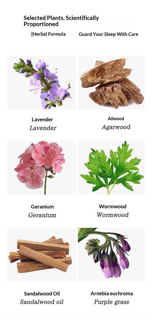 Herbal Sleep Balm | Natural Calming Salve with Lavender & Chamomile | Aromatherapy for Relaxation & Supporting Restful Nights