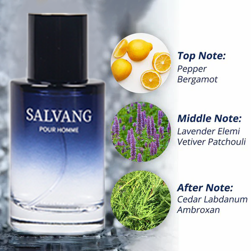 Wild Power Men s Cologne | Unmissable Confidence & Charm