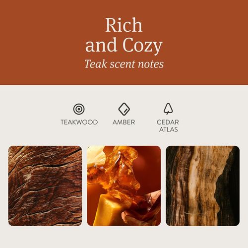 Magnetic Aroma Wood | Natural Freshness on Your Sun Visor