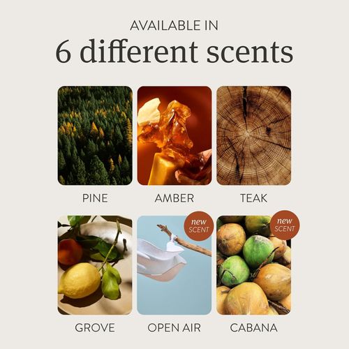 Magnetic Aroma Wood | Natural Freshness on Your Sun Visor