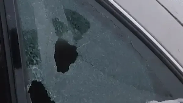 multi-functional tactical gloves (1 pair)