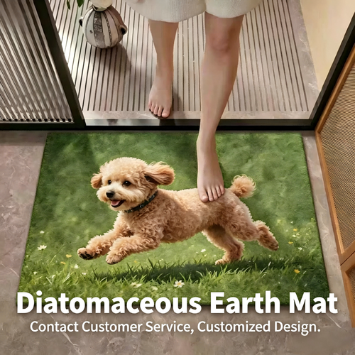 Diatomaceous Earth Bath Mat – Super Absorbent Non-Slip Rug for Bathroom, Shower, Toilet, Kitchen Sink, and Bedroom Doorway