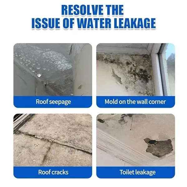 Reparação de Paredes Exteriores e Telhados | Pintura Impermeabilizante para Casas de Banho