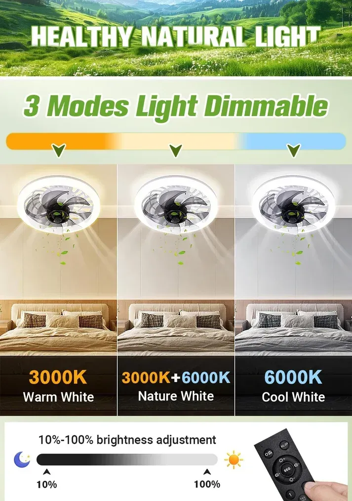 2-in-1 Mute Adjustable Fan Light with Remote Control