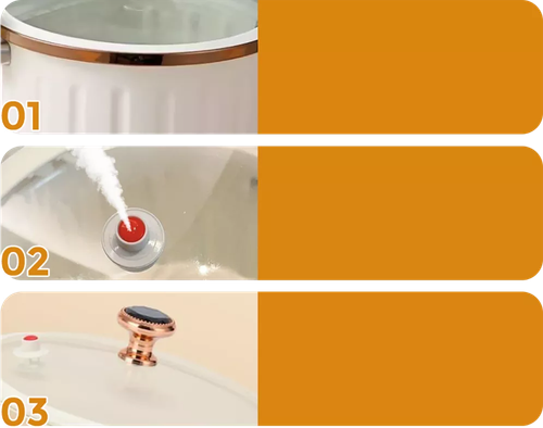 Multifunctional non-stick pressure cooker