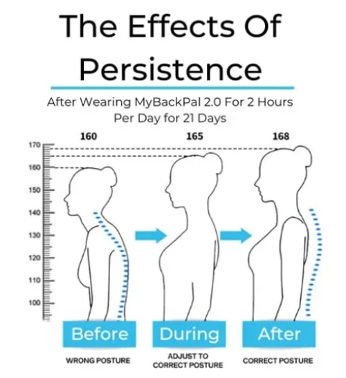 Professional Posture Corrector Back Support Belt Adjustable Strap Brace for Adolescents and Adults