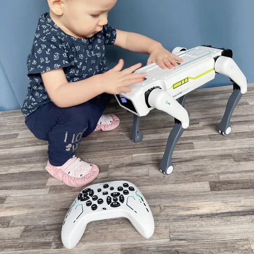 Artificial Intelligence Remote Control Robot Dog Set