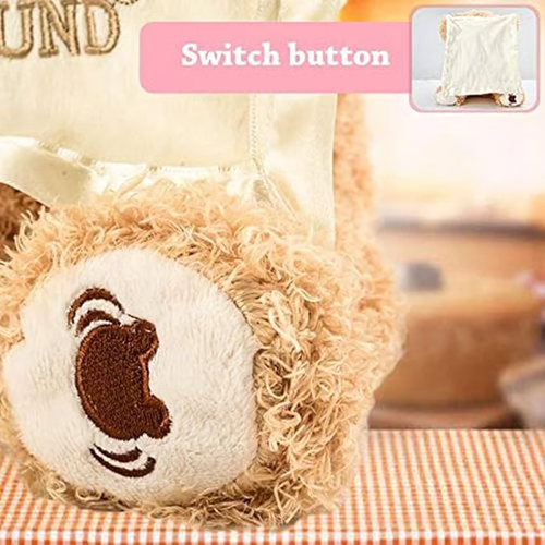 🎁Last Day Promotion 60% OFF-🧸THE PERSONALIZED PEEK-A-BOO BEAR