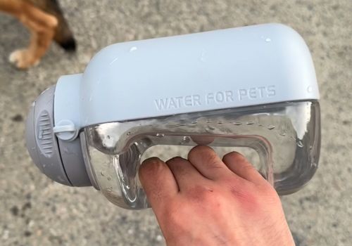 Large capacity travel water bottle for pet dogs, travel cup for Teddy dogs