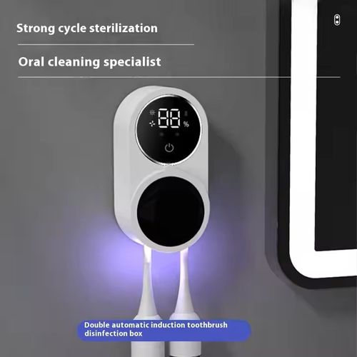 Portable Mini UV Toothbrush Sterilizer Rechargeable Wall-Mounted Sanitizer for Home Use Plastic Couples Bathroom Sanitizing