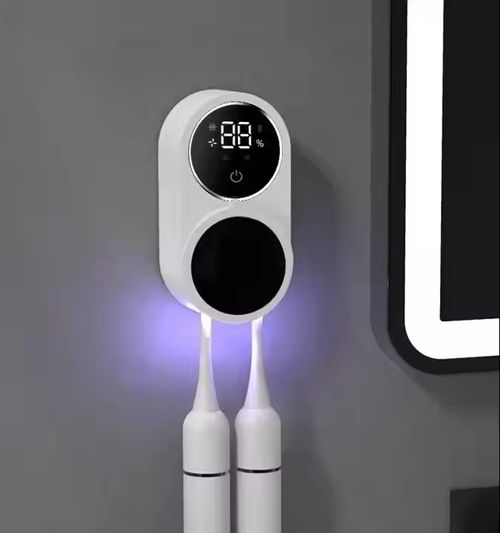 Portable Mini UV Toothbrush Sterilizer Rechargeable Wall-Mounted Sanitizer for Home Use Plastic Couples Bathroom Sanitizing
