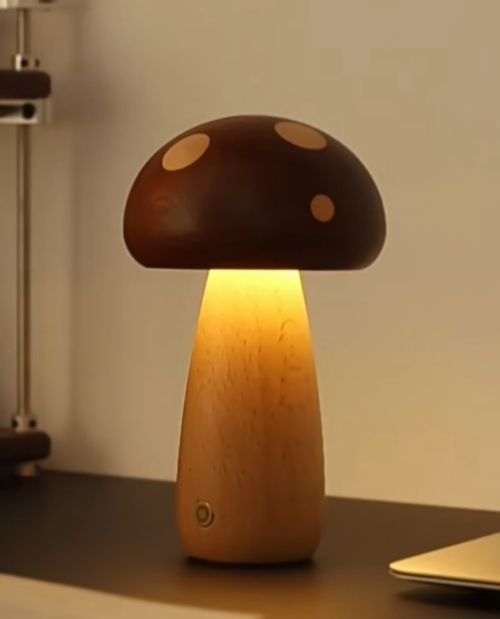 Time to decor the desk. USB Charging LED Table Lamp Northern Europe Touch Control Dimming Brightness for Desk Bedside Decorative Use
